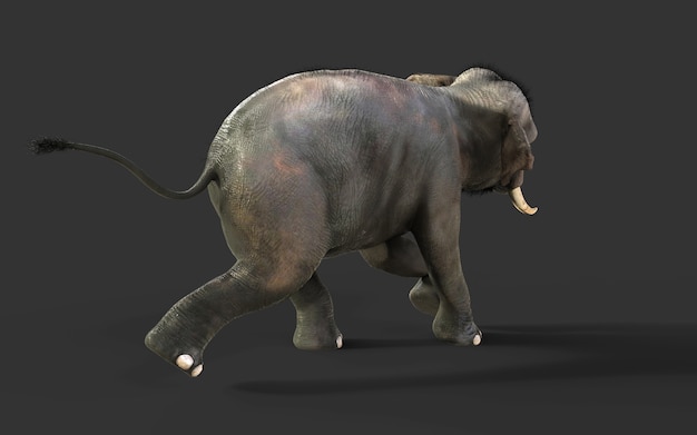 Aislante del elefante de la ilustración 3d en fondo negro