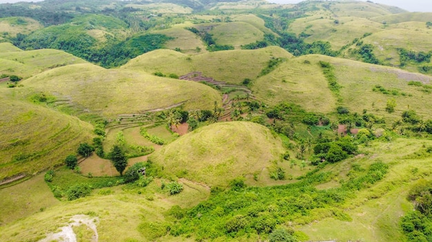 Ajardine a colina tropical da savana em Nusa Penida BaliIndonesia