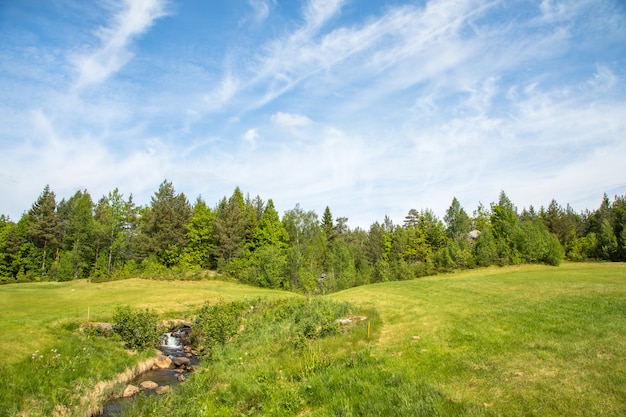 Ajardine en un campo de golf con hierba verde, bosque, árboles, hermoso cielo azul y un pequeño río y cascada