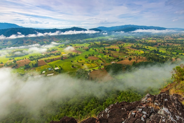 Ajardine el mar de la niebla en la alta montaña en Nakornchoom, provincia de Phitsanulok, Tailandia.