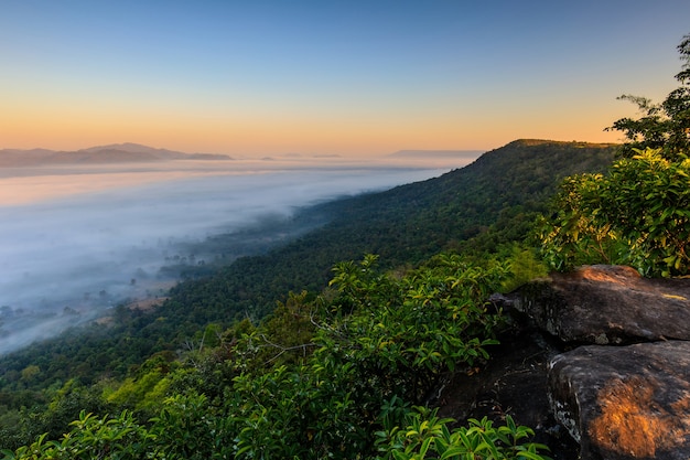 Ajardine el mar de la niebla en la montaña en la provincia de Nongkhai Tailandia.