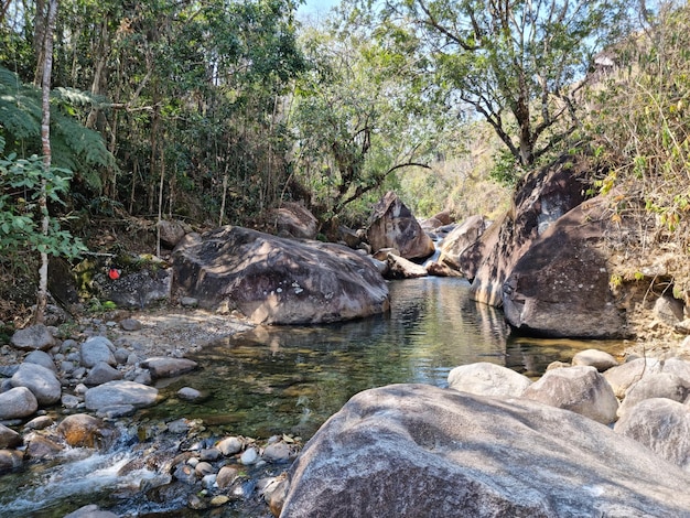 Ajardine o trajeto do lago no meio das pedras