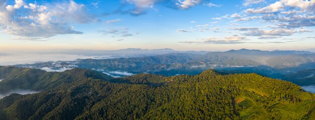 Ajardine la opinión de la naturaleza en la mañana en la niebla de la montaña Chiang Rai Tailandia