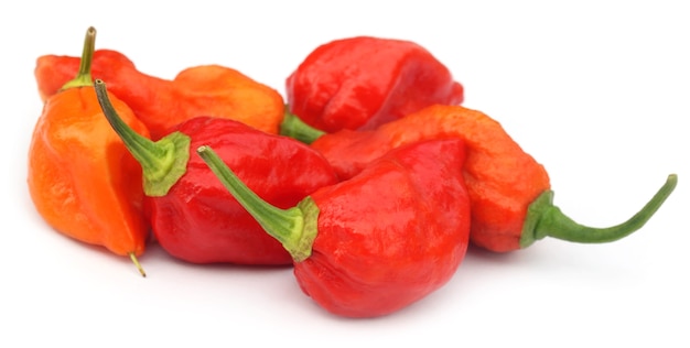 Ají Bhut Jolokia o Naga Morich de Bangladesh