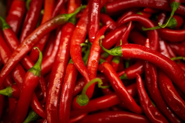 Foto ají rojo fondo de ají rojo ají tailandés picante fondo de chiles rojos enfoque selectivo