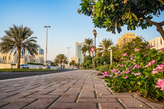 Ajman. Rua verde ensolarada de manhã no Emirado de Ajman.