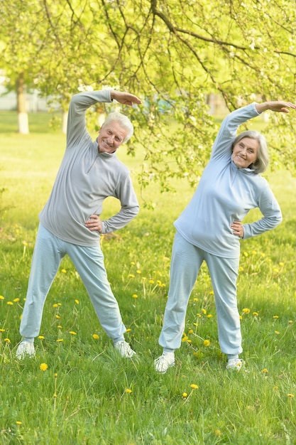 Ajuste feliz pareja senior haciendo ejercicio en el parque