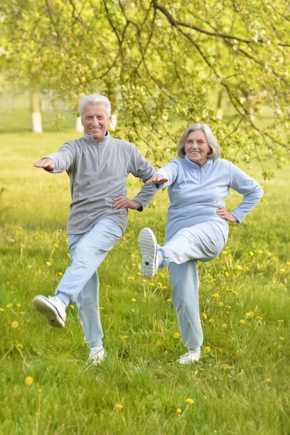 Ajuste feliz pareja senior haciendo ejercicio en el parque