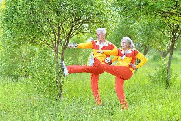 Ajuste feliz pareja senior haciendo ejercicio en el parque