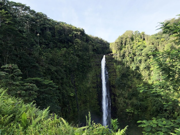 Akaka fällt auf Hawaii