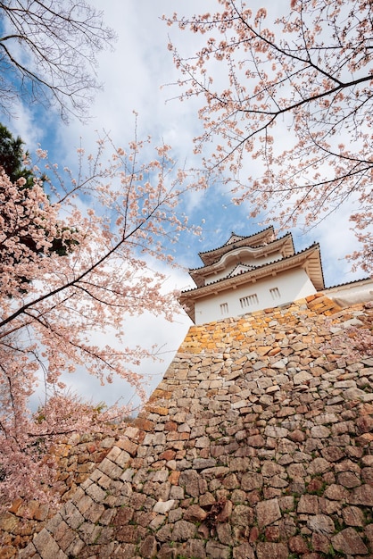 Akashi Japón en el castillo de Akashi en primavera