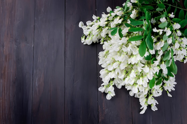 Akazienblumen auf einem dunklen hölzernen Hintergrund