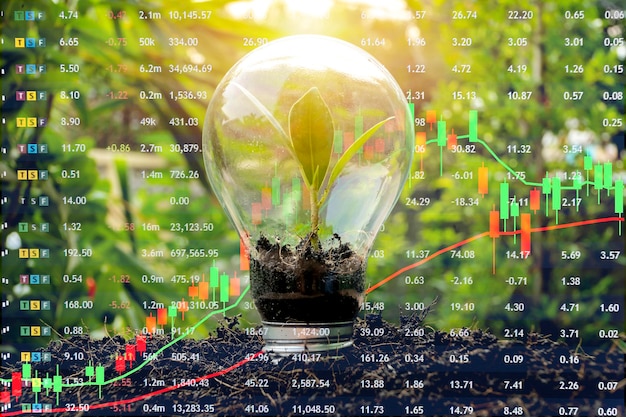 Aktienmarkt-Investitionskonzept Gewinn und Gewinn mit Candlestick-Charts und Zahlen Bäume, die in Zwiebeln wachsen