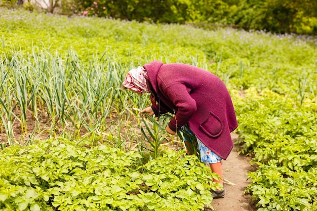 Aktive Seniorin im Garten