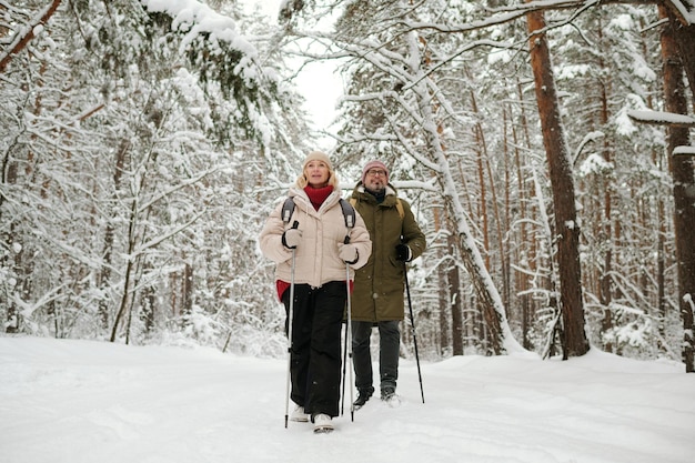 Aktives Seniorenpaar beim Trekking im Pinienwald am Wochenende