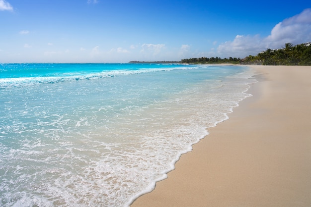 Foto akumal karibik strand in riviera maya