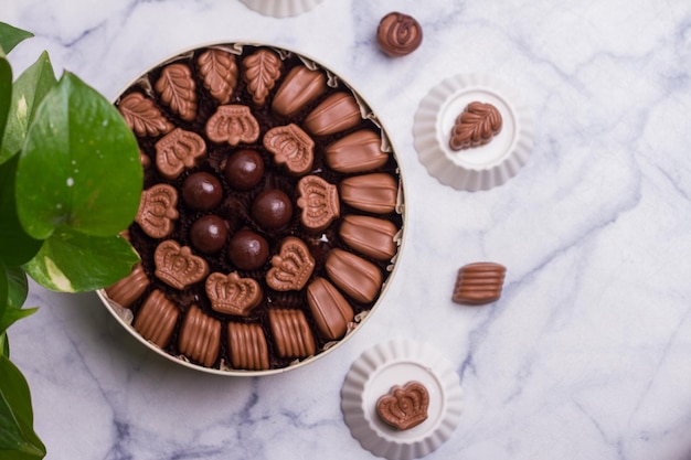 Al Jazeera Special Chocolate Box serviert in einem Gericht isoliert auf grauem Hintergrund Draufsicht auf Desserts