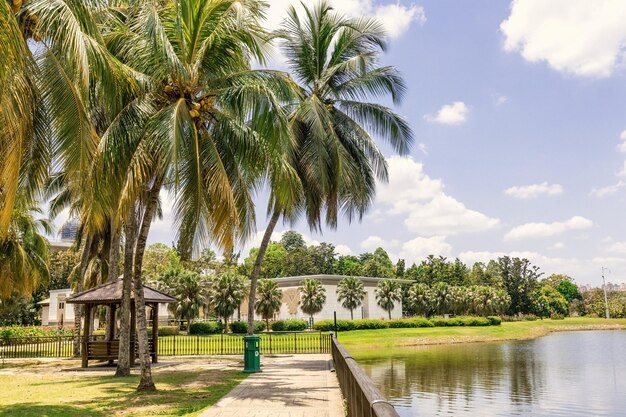 Al lado del río con palmeras y pavillion en Putrajaya Malasia