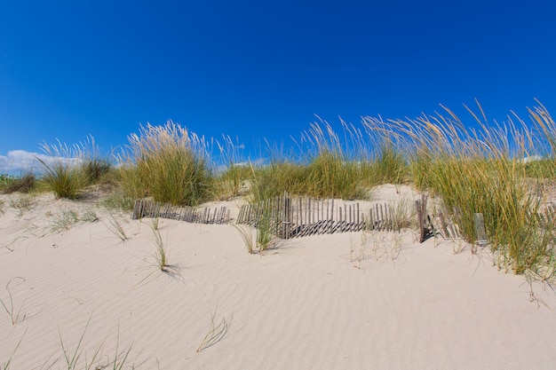 Alaior Cala Son Bou en las dunas de Menorca en Baleares