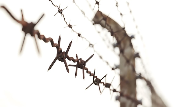 Foto alambre farpado cerca com arame farpado holocausto campos de concentração prisioneiros fronteira ia generativa