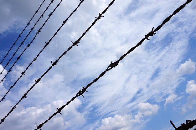 Foto alambre de púas - concepto de cautiverio en la cárcel