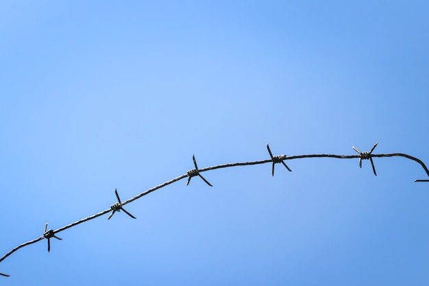 Alambre de púas contra el fondo del cielo azul. concepto de encarcelamiento y prisión, espacio de copia