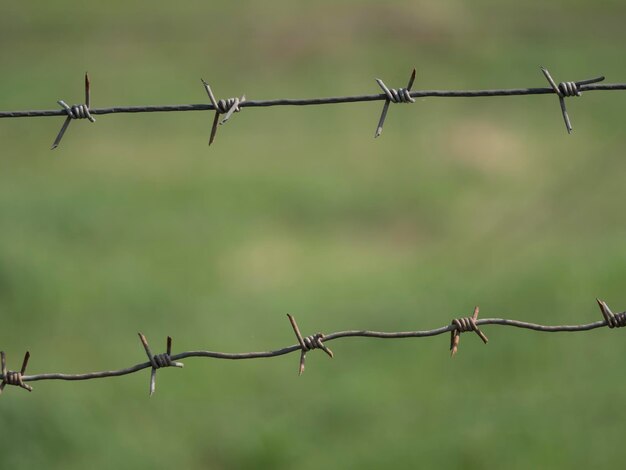 Alambre de púas en el fondo de un campo de hierba verde