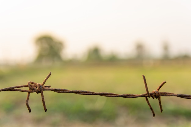 Alambre de púas con fondo de naturaleza borrosa con espacio de copia