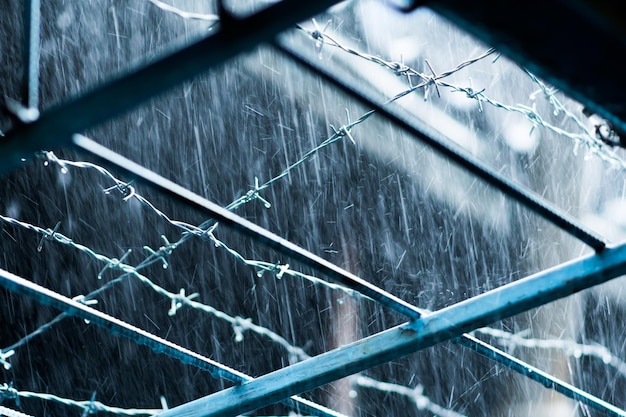 Alambre de púas montado en la pared, y una fuerte lluvia caía a cántaros.