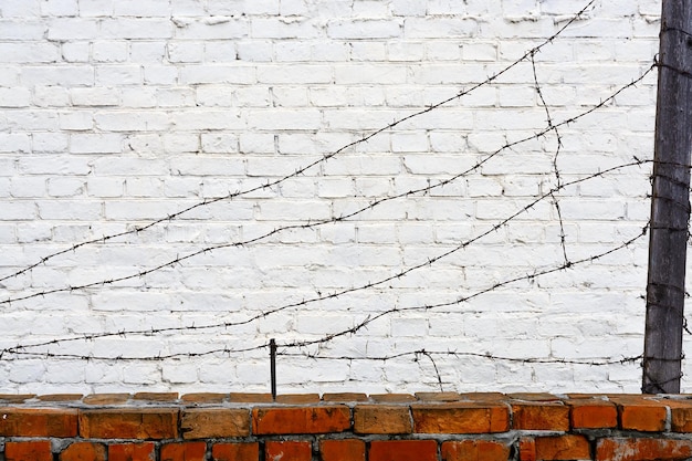 alambre de púas en una pared de ladrillos