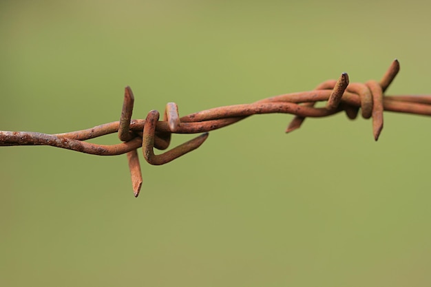 Alambre de púas en una valla