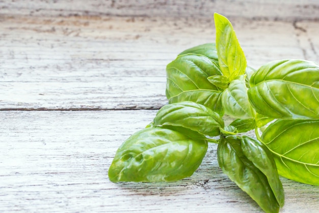 La albahaca aromática verde se va en el fondo de madera blanco con el lugar para el texto