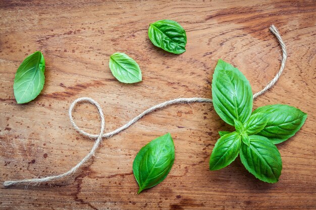 La albahaca dulce fresca se va en fondo lamentable de la madera de la teca.