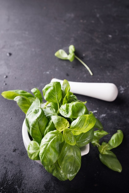 Albahaca fresca en caja de madera