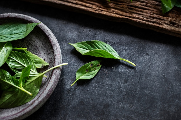 Albahaca fresca deja hierba asiática