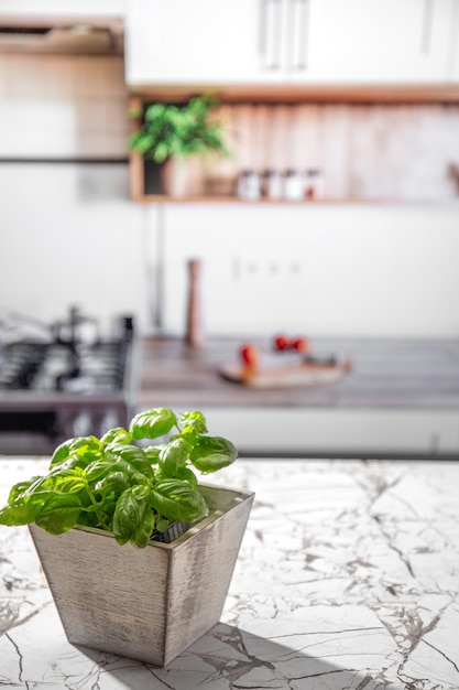 Albahaca en la mesa de la cocina con kitcken desenfoque de fondo