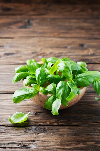 Foto albahaca verde fresca sobre la mesa