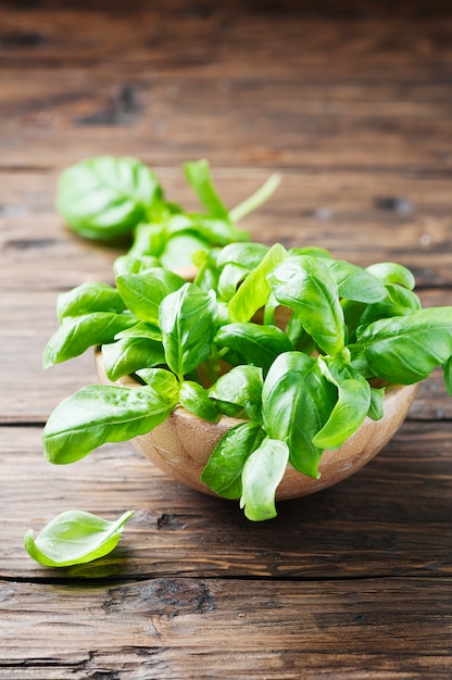 Foto albahaca verde fresca sobre la mesa