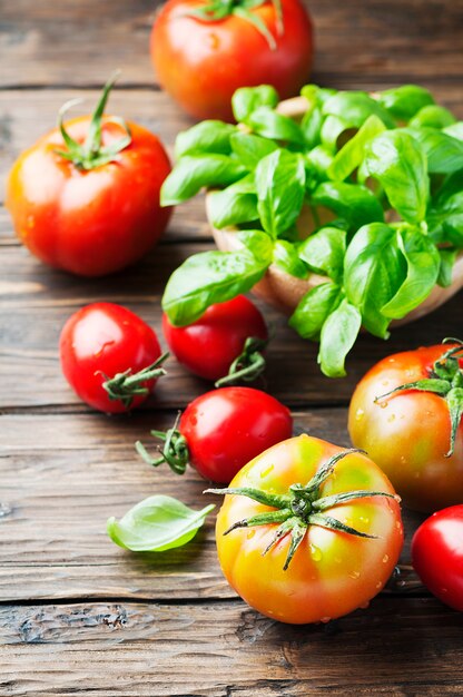 Albahaca verde y tomate rojo dulce