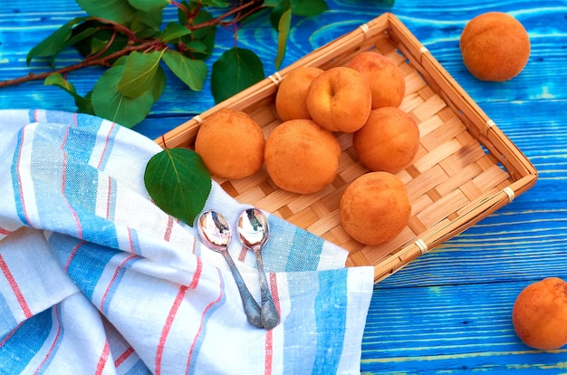 Albaricoques naranjas frescos en una bandeja de mimbre sobre un fondo de madera azul y medio con un hueso.