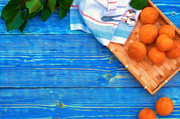 Albaricoques naranjas frescos en una bandeja de mimbre sobre un fondo de madera azul y medio con un hueso.