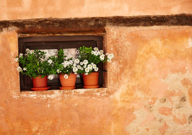 Albarracin mittelalterliche Stadt in Teruel Spanien