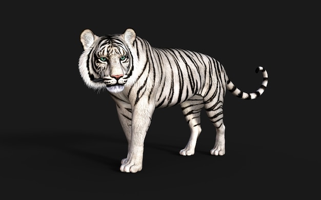 Albino tigre blanco aislado sobre fondo oscuro con trazado de recorte Ilustración 3d