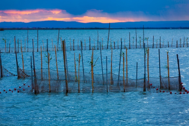 Albufera sunset lake park en valencia el saler españa