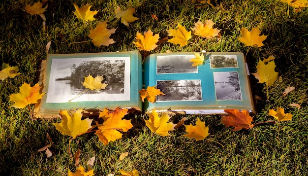 Foto Álbum de fotos con hojas amarillas otoñales en el parque.