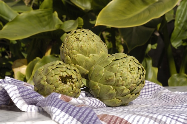 Alcachofas De Verduras