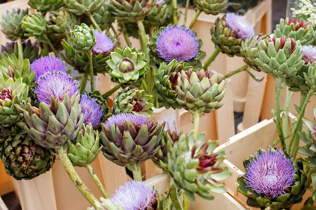 Foto alcachofra kunara em uma venda local de flores