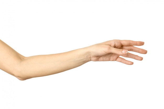 Foto alcanzando la mano. mujer mano gesticular aislado en blanco