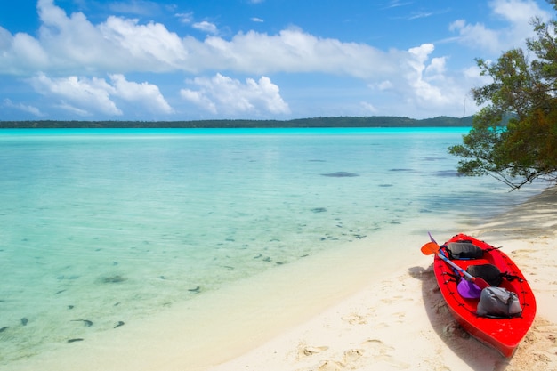 Alcanzar una isla desierta en canoa