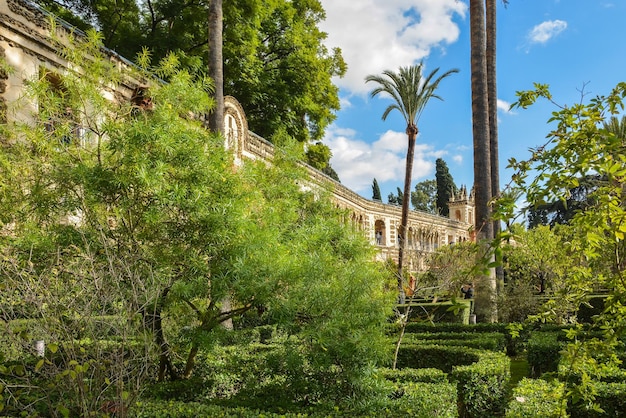 El alcazar de sevilla